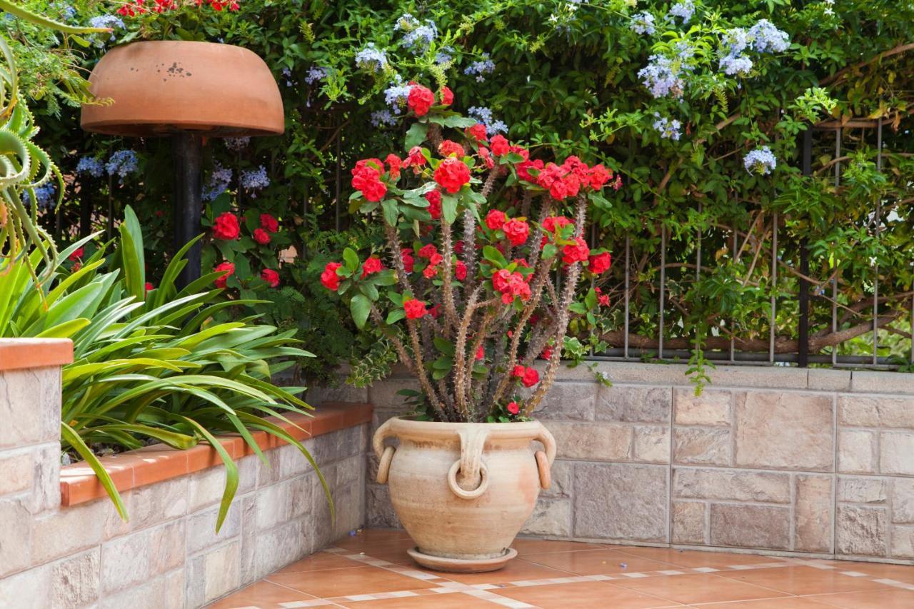 B&B Villa Carmen Sant'Alessio Siculo Bagian luar foto